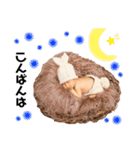 KOKOHA☆（個別スタンプ：16）