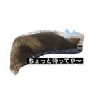 ちろっち関西弁（個別スタンプ：2）