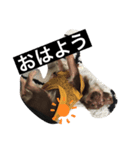 ちろっち関西弁（個別スタンプ：3）
