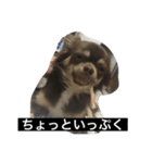 ちろっち関西弁（個別スタンプ：5）