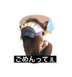 ちろっち関西弁（個別スタンプ：8）