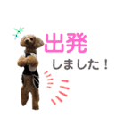 トイプーうめちゃんvol.3（個別スタンプ：11）