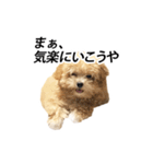 くるみのスーパースタンプ（個別スタンプ：4）