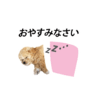くるみのスーパースタンプ（個別スタンプ：8）