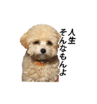 くるみのスーパースタンプ（個別スタンプ：10）