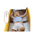 はちゃのスタンプ（個別スタンプ：8）