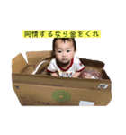 はちゃのスタンプ（個別スタンプ：11）
