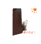 みるきーと共に（個別スタンプ：2）