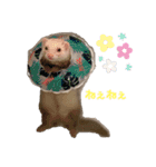 みるきーと共に（個別スタンプ：3）