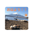 みるきーと共に（個別スタンプ：5）