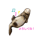みるきーと共に（個別スタンプ：6）