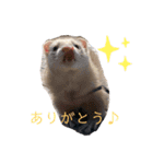 みるきーと共に（個別スタンプ：9）