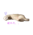 みるきーと共に（個別スタンプ：10）