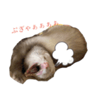 みるきーと共に（個別スタンプ：12）