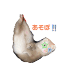みるきーと共に（個別スタンプ：14）