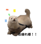 みるきーと共に（個別スタンプ：16）