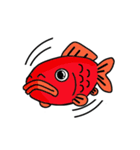 金魚屋が書いた金魚（個別スタンプ：1）
