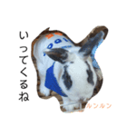 うちのペット『うさぎetc』（個別スタンプ：4）