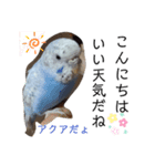 うちのペット『うさぎetc』（個別スタンプ：6）