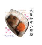 うちのペット『うさぎetc』（個別スタンプ：7）