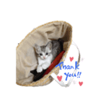 コロッケ 1（個別スタンプ：7）
