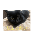 とってんてん（個別スタンプ：1）
