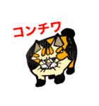 我求猫（個別スタンプ：3）