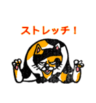 我求猫（個別スタンプ：12）
