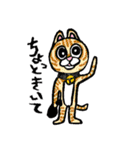 我求猫（個別スタンプ：13）