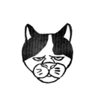 我求猫（個別スタンプ：24）