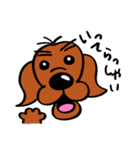 愛犬リバース（個別スタンプ：9）