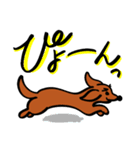 愛犬リバース（個別スタンプ：22）