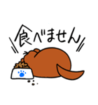 愛犬リバース（個別スタンプ：34）