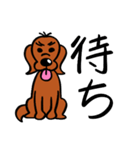 愛犬リバース（個別スタンプ：35）
