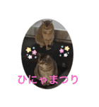 わんわんにゃにゃにゃ（個別スタンプ：31）