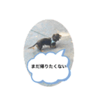 わんわんにゃにゃにゃ（個別スタンプ：32）