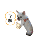フレブル  はな（個別スタンプ：5）