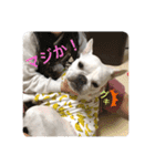 フレブル  はな（個別スタンプ：8）