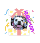 フレブル  はな（個別スタンプ：14）