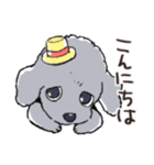 3匹のトイプーたち（個別スタンプ：2）