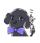 3匹のトイプーたち（個別スタンプ：3）