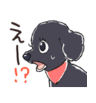3匹のトイプーたち（個別スタンプ：5）