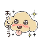 3匹のトイプーたち（個別スタンプ：6）