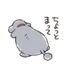 3匹のトイプーたち（個別スタンプ：7）
