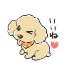 3匹のトイプーたち（個別スタンプ：8）