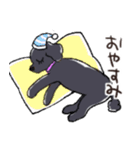 3匹のトイプーたち（個別スタンプ：9）
