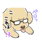 3匹のトイプーたち（個別スタンプ：10）
