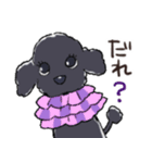 3匹のトイプーたち（個別スタンプ：11）