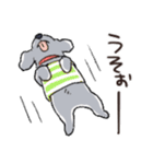 3匹のトイプーたち（個別スタンプ：13）