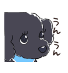 3匹のトイプーたち（個別スタンプ：15）